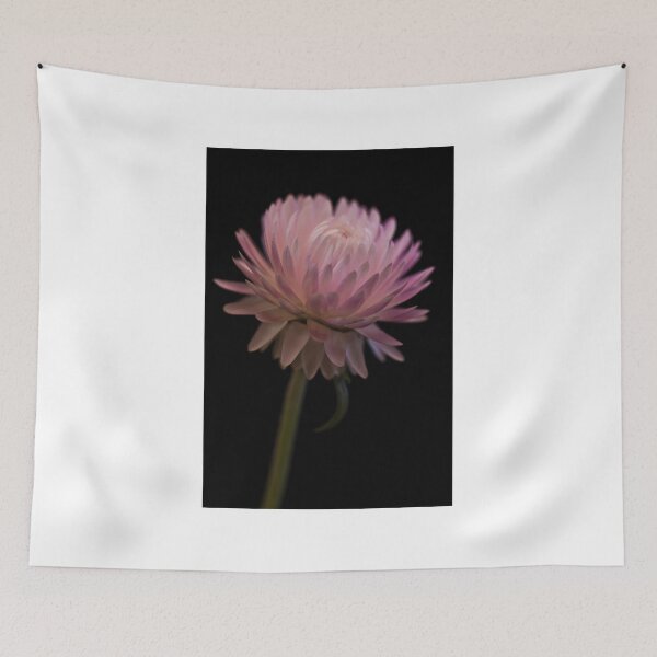 Item preview, Straw Flower designed and sold by Sandra Foster.