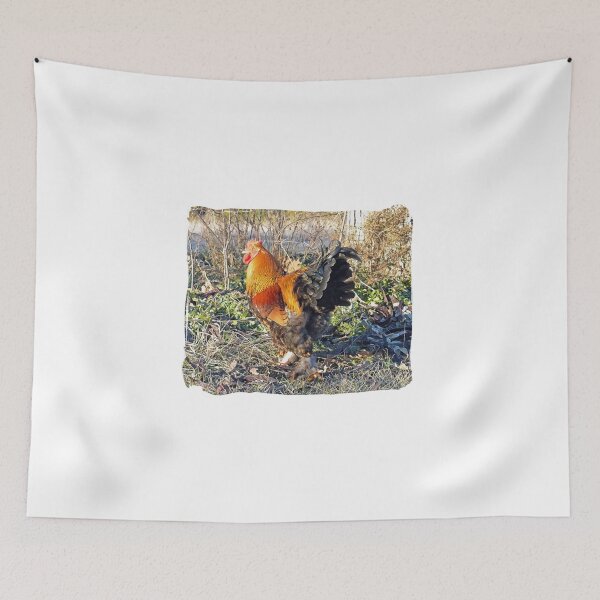 Artikelvorschau, Rooster entworfen und verkauft von Frankie Cat Photography.
