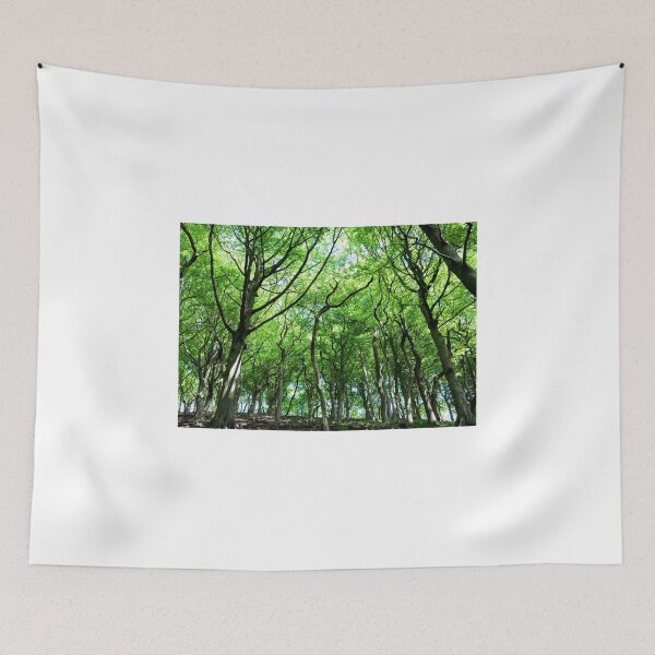 Item preview, Sunlit Wood designed and sold by fotohebden.