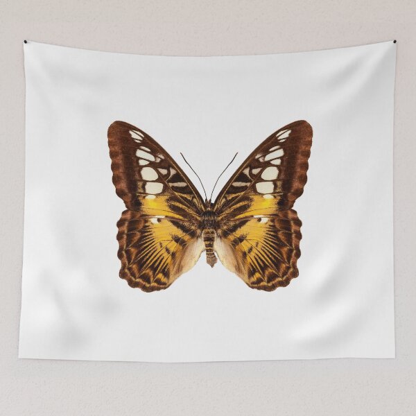 Item preview, Butterfly species Parthenos sylvia "Clipper butterfly" designed and sold by paulrommer.