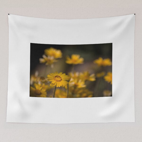 Item preview, Desert Daisies designed and sold by TeresaB.
