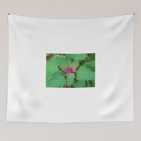 Item preview, Tree Spinach designed and sold by jojobob.