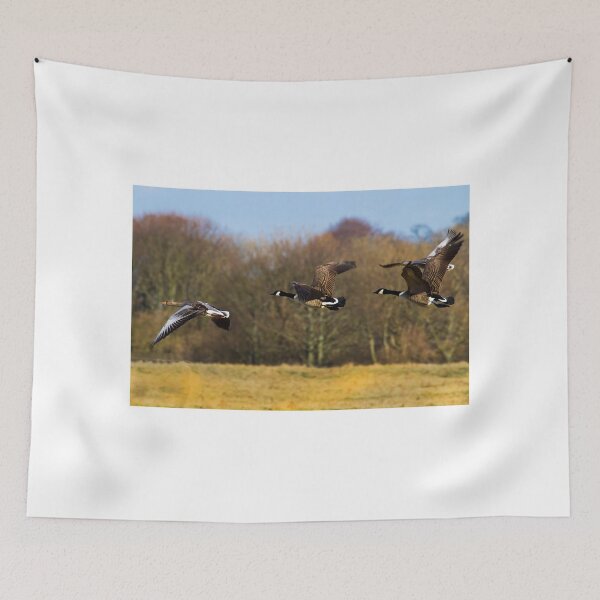 Item preview, Geese in flight designed and sold by Violaman.