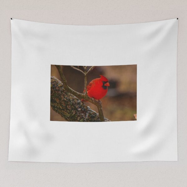 Item preview, Portrait of a Redbird designed and sold by mcstory.