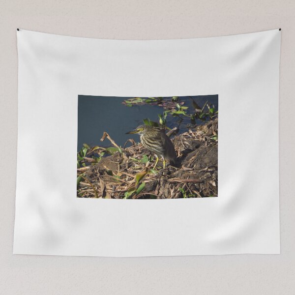 Item preview, Squacco Heron, Pokhara, Nepal designed and sold by wiggyofipswich.