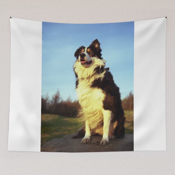 Item preview, Laddie's stand. designed and sold by Michael Haslam.
