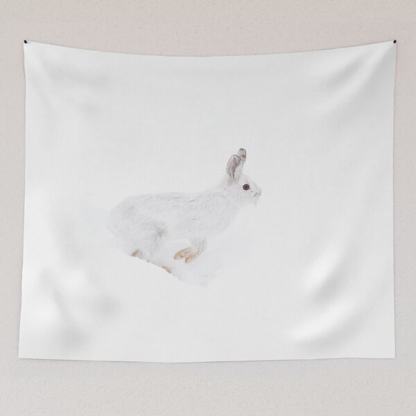 Item preview, Into the Abyss - Snowshoe hare designed and sold by James Cumming.