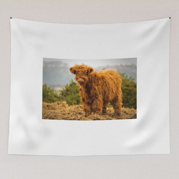 Aperçu de l'œuvre Highland calf créée et vendue par Violaman.
