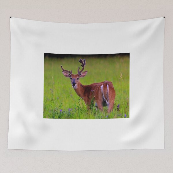 Item preview, Young Buck designed and sold by Larry Trupp.