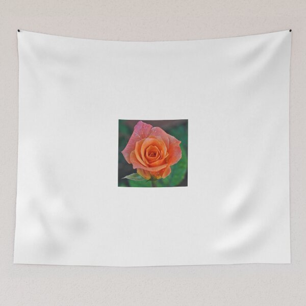 Item preview, PEACH ROSE designed and sold by JAYMILO.