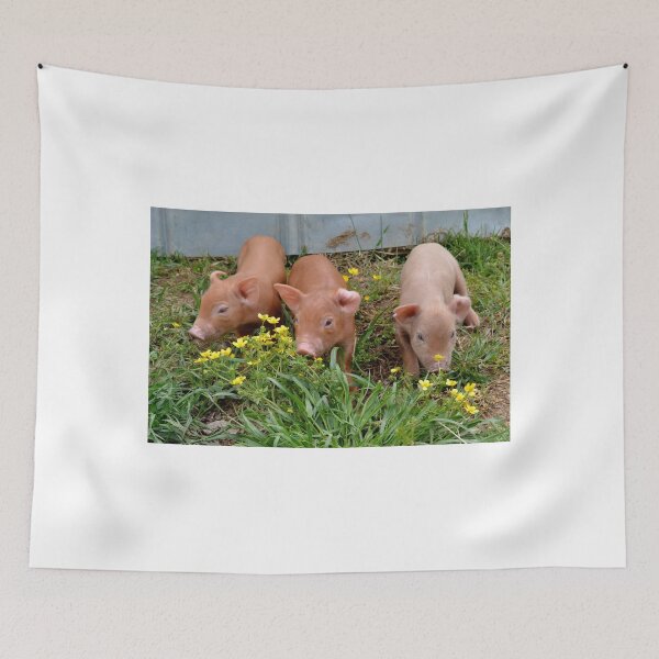 Item preview, Piglets designed and sold by Aleesha Haigwood.