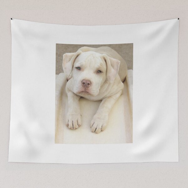 Item preview, Will You Take Me Home? designed and sold by Ginny York.