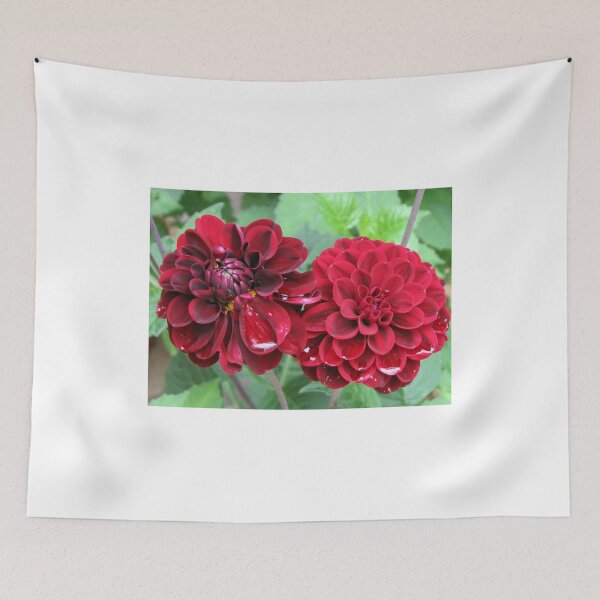 Item preview, Raindrops On Dark Red Dahlias designed and sold by MidnightMelody.