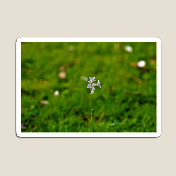 Item preview, pequeña flor sola frente al mundo designed and sold by jpaul thibaut.