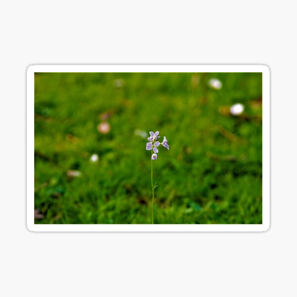 Item preview, little flower alone in front of the world designed and sold by jpaul thibaut.