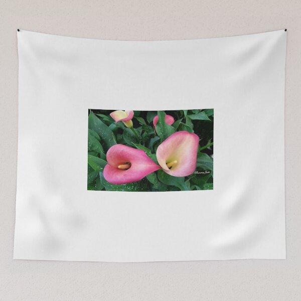 Item preview, Beautiful, Simple, Colorful Callas designed and sold by SummerJade.