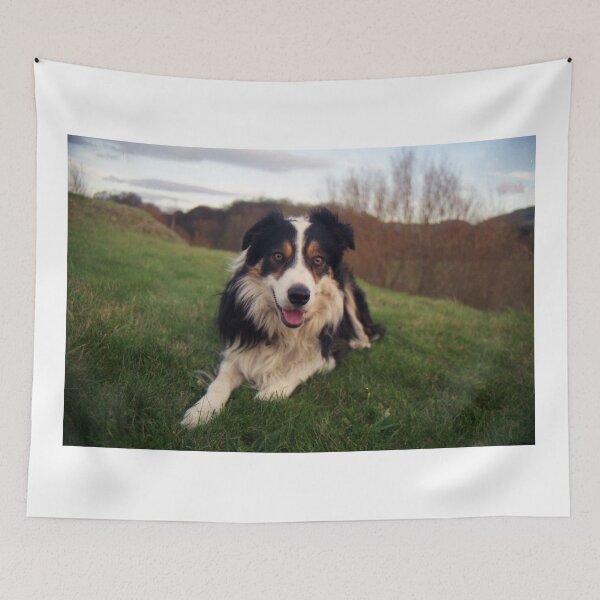 Item preview, Laddie unleashed. designed and sold by Michael Haslam.