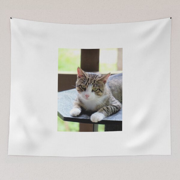 Item preview, Lazy Summer Day designed and sold by Frankie Cat Photography.