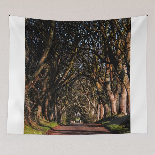 Item preview, Dark Hedges Canopy designed and sold by Wrayzo.