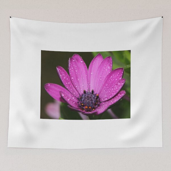 Item preview, Purple Daisy. designed and sold by ikshvaku.