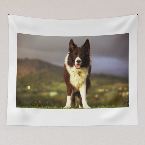Item preview, Indy and the Storm designed and sold by Michael Haslam.