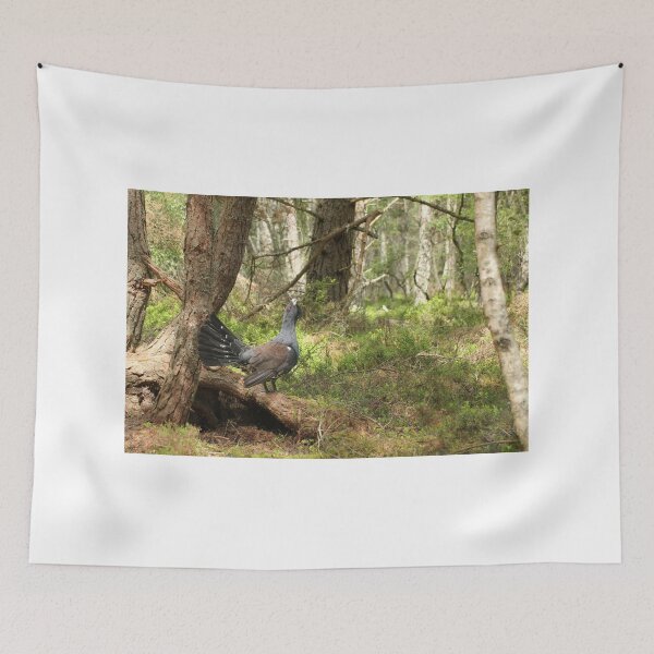 Item preview, Capercaillie designed and sold by sandysshoots.