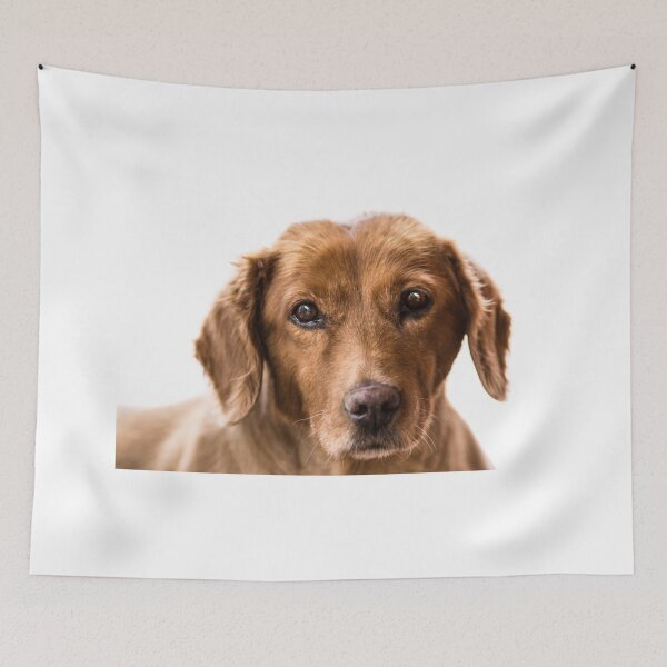 Item preview, puppy eyes designed and sold by Tamas KLAUSZ.
