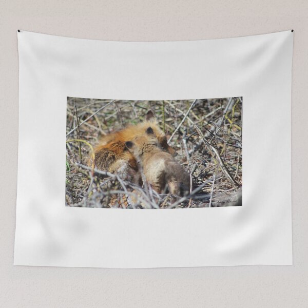Item preview, Vixen and Pup Snuggle designed and sold by Gilda Axelrod.