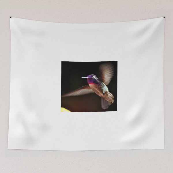 Item preview, ADULT MALE COSTA'S IN FLIGHT designed and sold by JAYMILO.