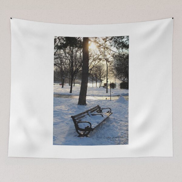 Artikelvorschau, A Wintry Bench at Niagara Falls entworfen und verkauft von Gilda Axelrod.