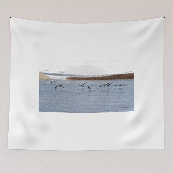 Item preview, Canadian Geese Takeoff designed and sold by Gilda Axelrod.