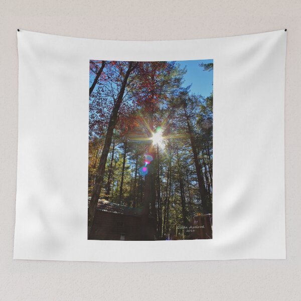 Item preview, Sun Shining Through the Autumn Trees designed and sold by Gilda Axelrod.
