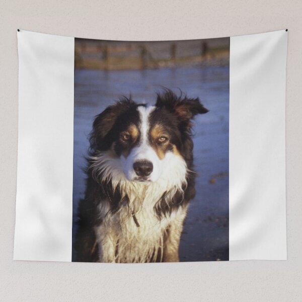 Item preview, Laddie Indomitable. designed and sold by Michael Haslam.