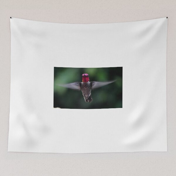 Item preview, HUMMINGBIRD ANNA'S DOING HIS THING FOR THE PHOTOGRAPHER designed and sold by JAYMILO.