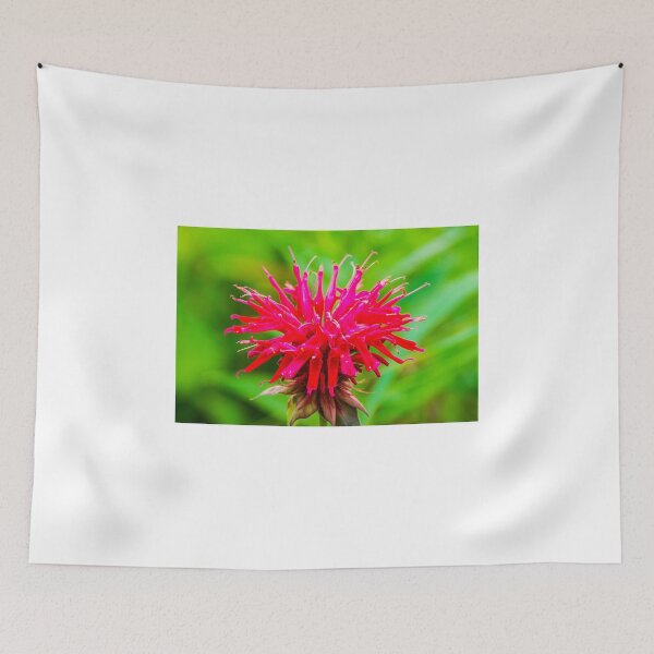 Item preview, Bee Balm - Red designed and sold by mcstory.