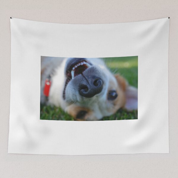 Item preview, All Play on Labor Day designed and sold by Brian Gaynor.