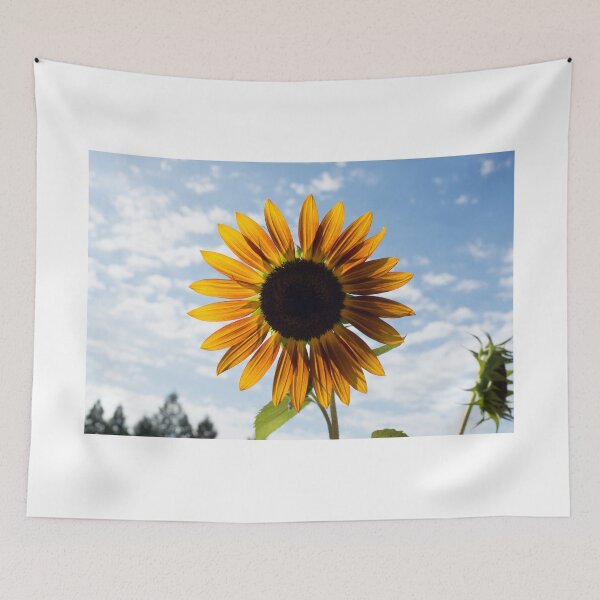 Aperçu de l'œuvre Blazing Sunflower créée et vendue par Diego Re.