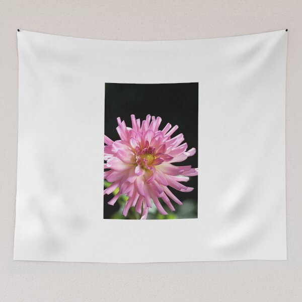 Item preview, Radiant Dahlia  designed and sold by Joy Watson - Natural Light Photography .