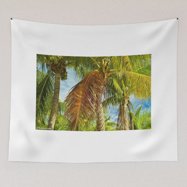 Item preview, Coconut palms designed and sold by Thaddeus Zajdowicz.