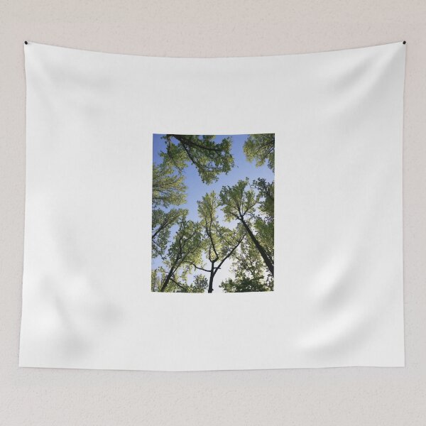 Item preview, Trees designed and sold by CleanSlate.