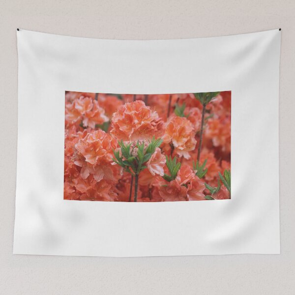 Item preview, Azalea Blaze designed and sold by coffeebean.