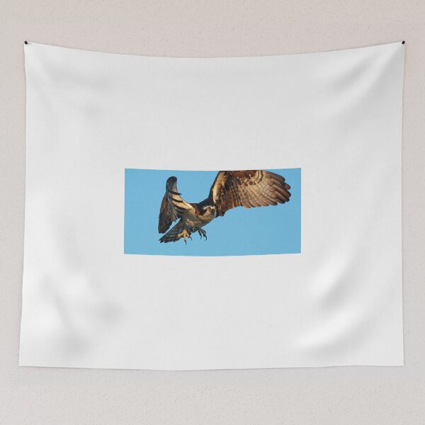 Item preview, Osprey -Landing! designed and sold by Anthony Goldman.