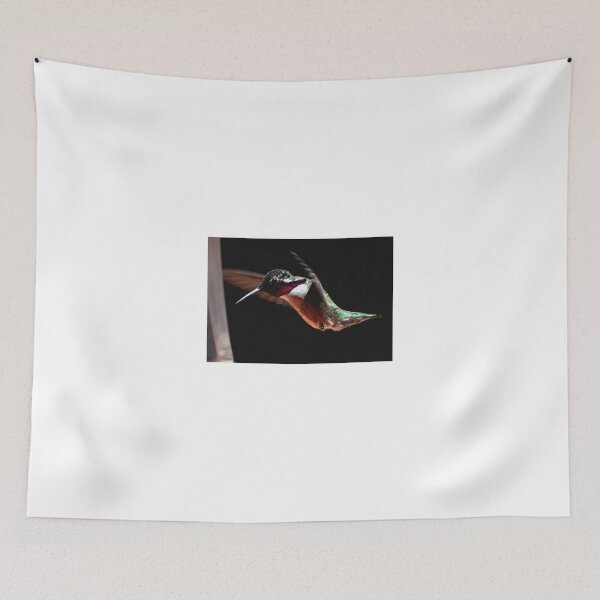 Item preview, HUMMINGBIRD MALE COSTA'S IN FLIGHT designed and sold by JAYMILO.