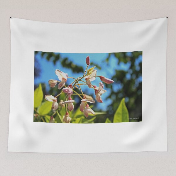 Item preview, Pink Flowers in the Light designed and sold by Gilda Axelrod.