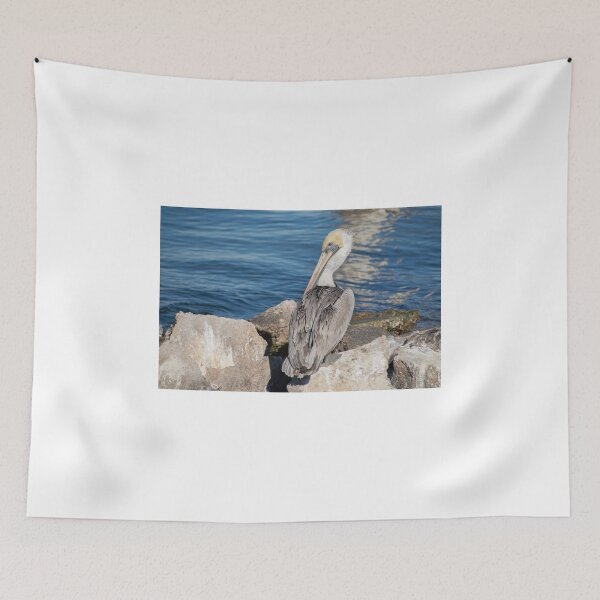 Item preview, Pelican In The Sun designed and sold by Diego Re.