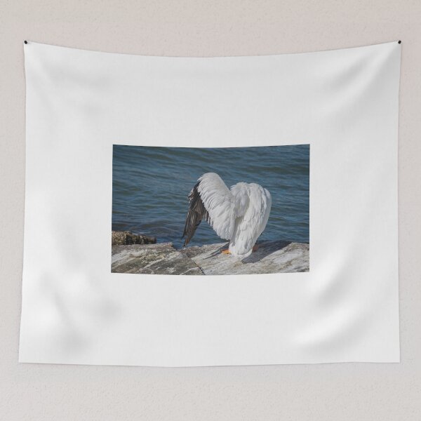 Item preview, Shy Pelican designed and sold by Diego Re.