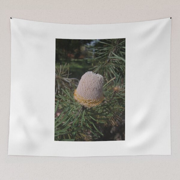 Item preview, Acorn Banksia designed and sold by lezvee.
