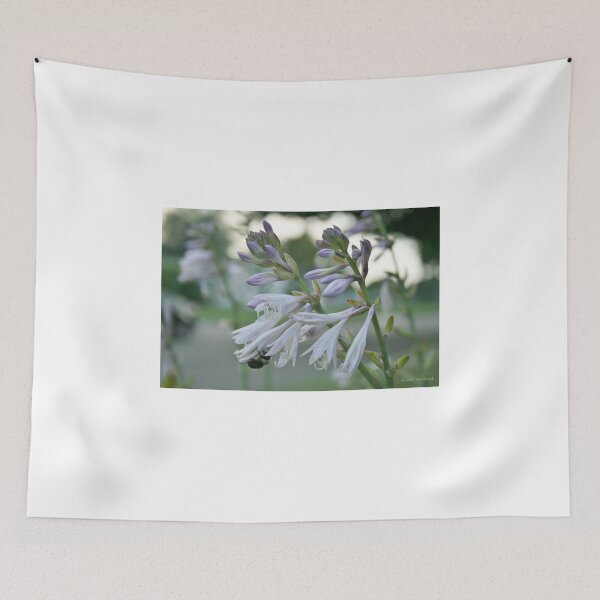 Item preview, Summer Hostas designed and sold by Gilda Axelrod.
