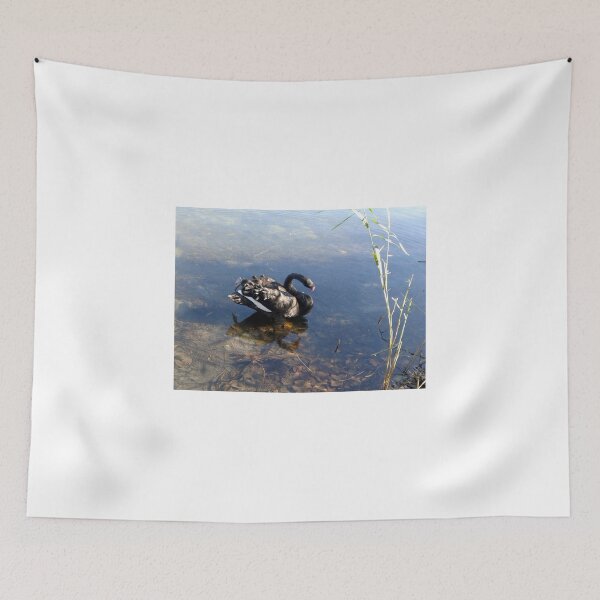 Item preview, Black Swan on the Lake designed and sold by MardiGCalero.
