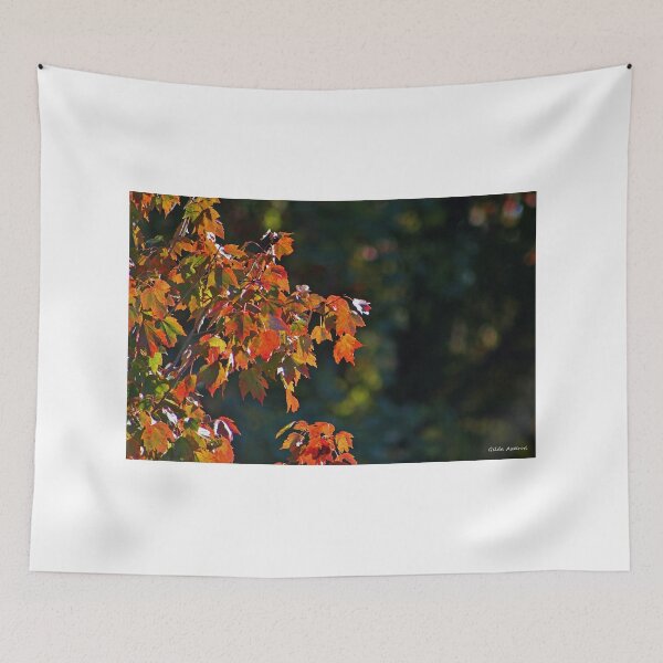 Artikelvorschau, Autumn Light and Dark entworfen und verkauft von Gilda Axelrod.